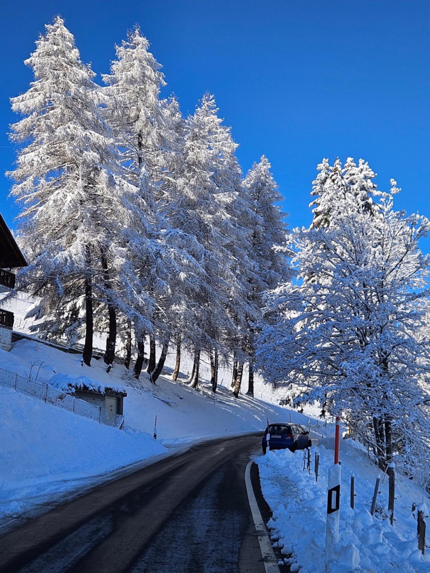 Sweet & Cosy Chalet In The Heart Of The Swiss Alps Troistorrents Dış mekan fotoğraf